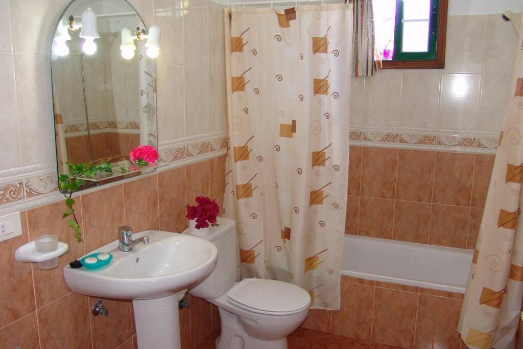 Apartamentos Finca Casa Jardin 티하라페 외부 사진